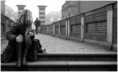Domenica 16 gennaio 2011